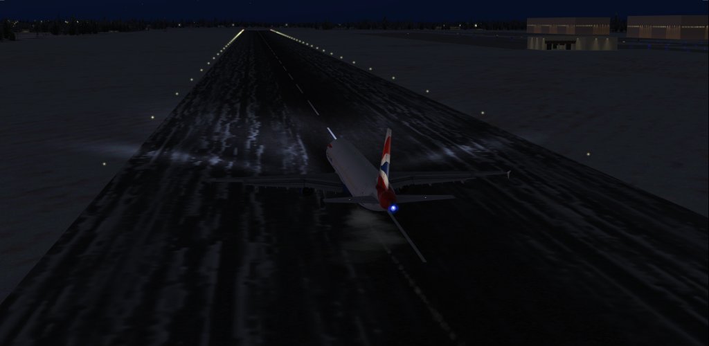 Reversers...trying to slow on icy runway